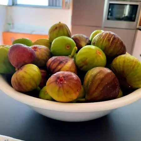 1885 ゲストハウス 3*