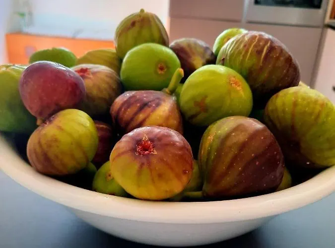 1885 Гостевой дом 3*